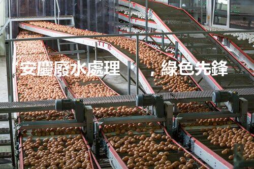“安慶廢水處理，綠色先鋒，環(huán)保典范！”